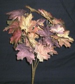 fall leaves cluster