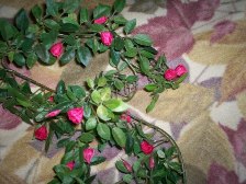 tiny red roses garland